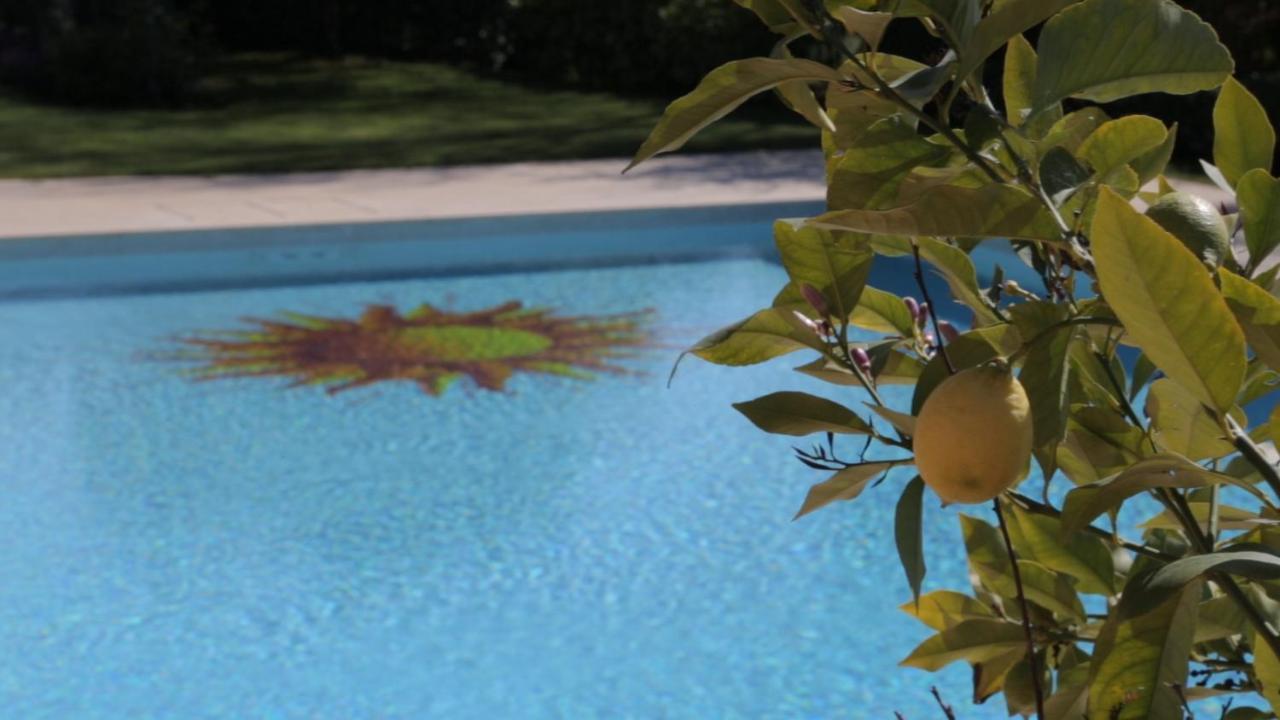 Corte Delle Cicale Bed & Breakfast Bardolino Ngoại thất bức ảnh
